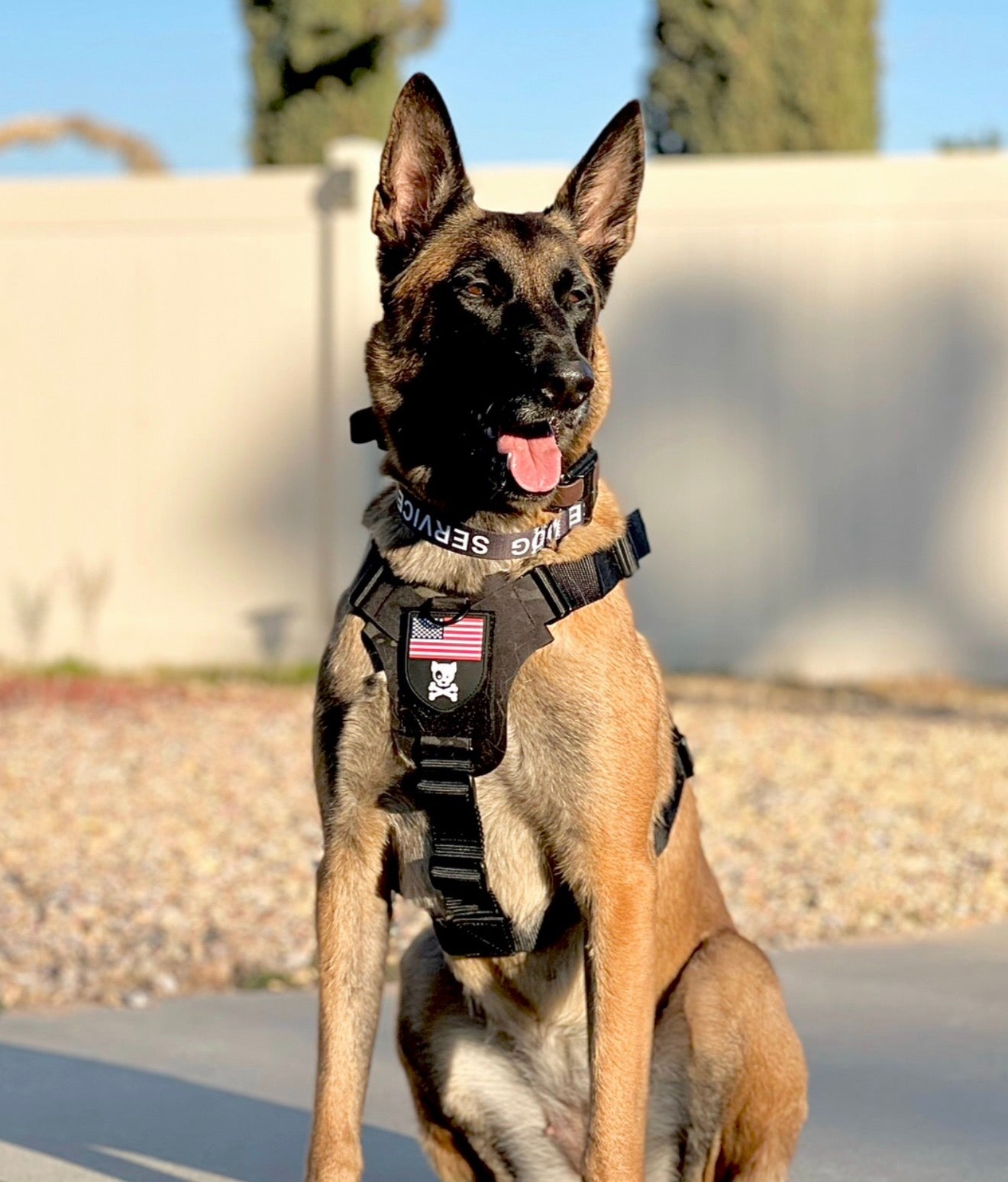 K9R - M1 LightSpeed Harness Large