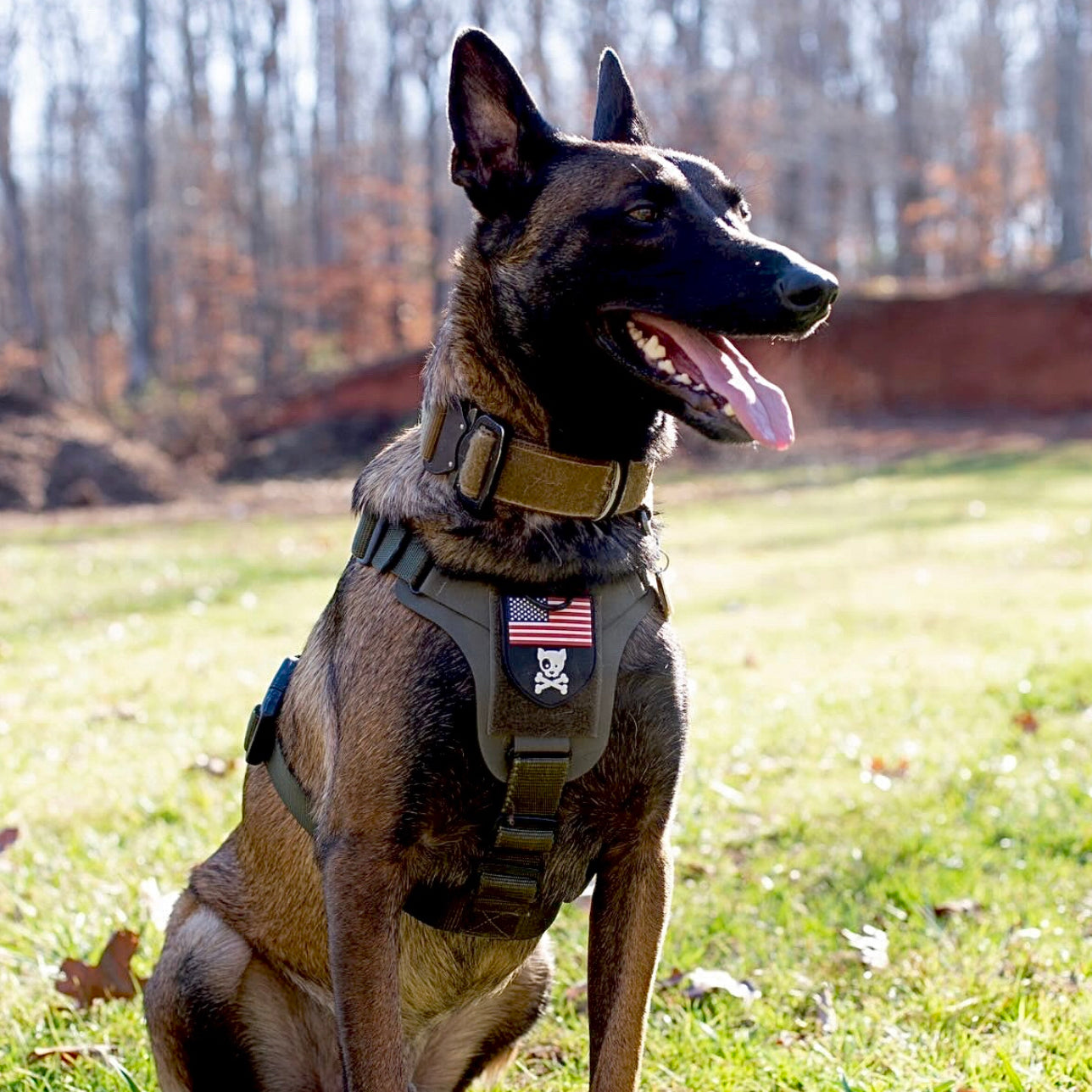 K9R - M1 LightSpeed Harness Large
