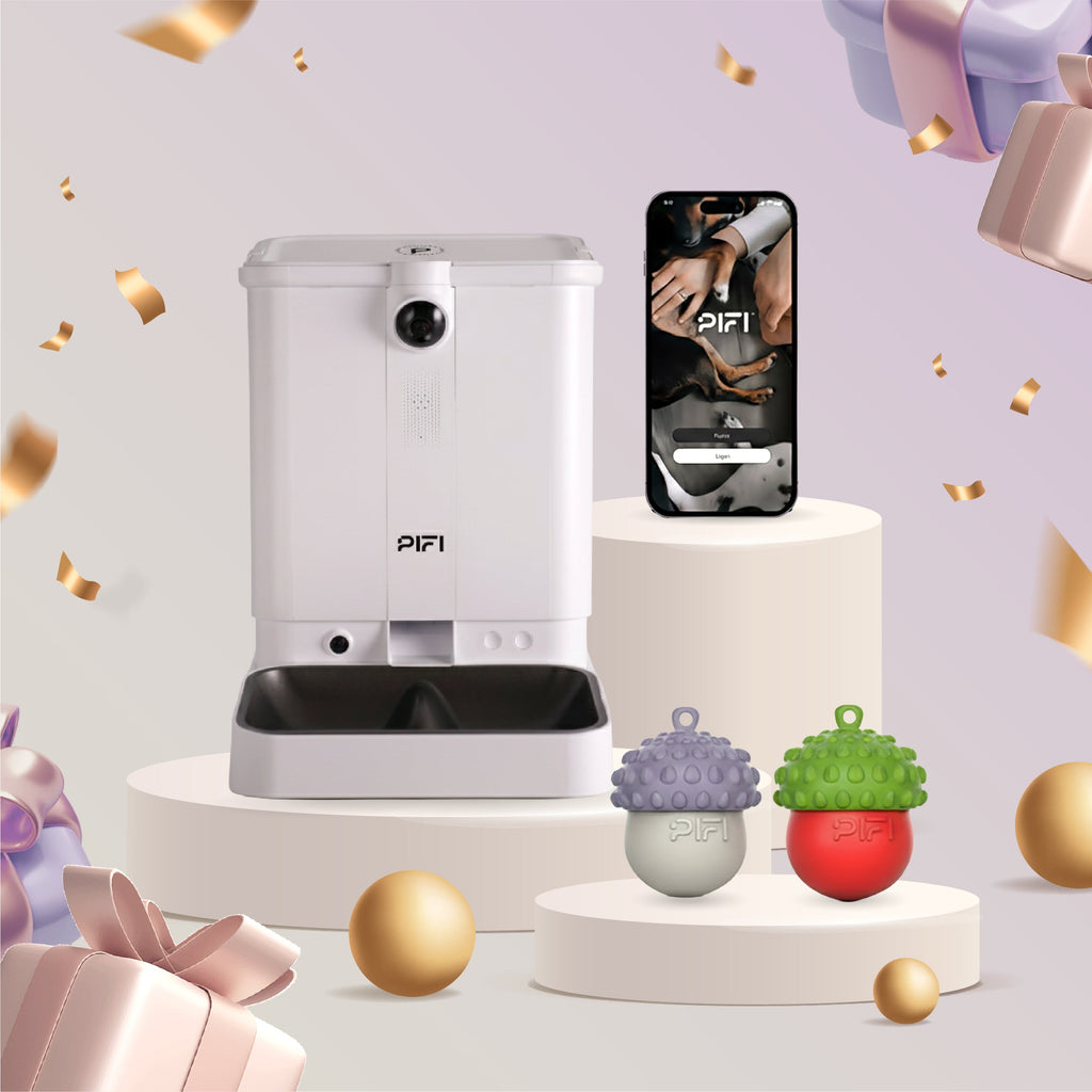 All-in-One Smart Pet Feeder