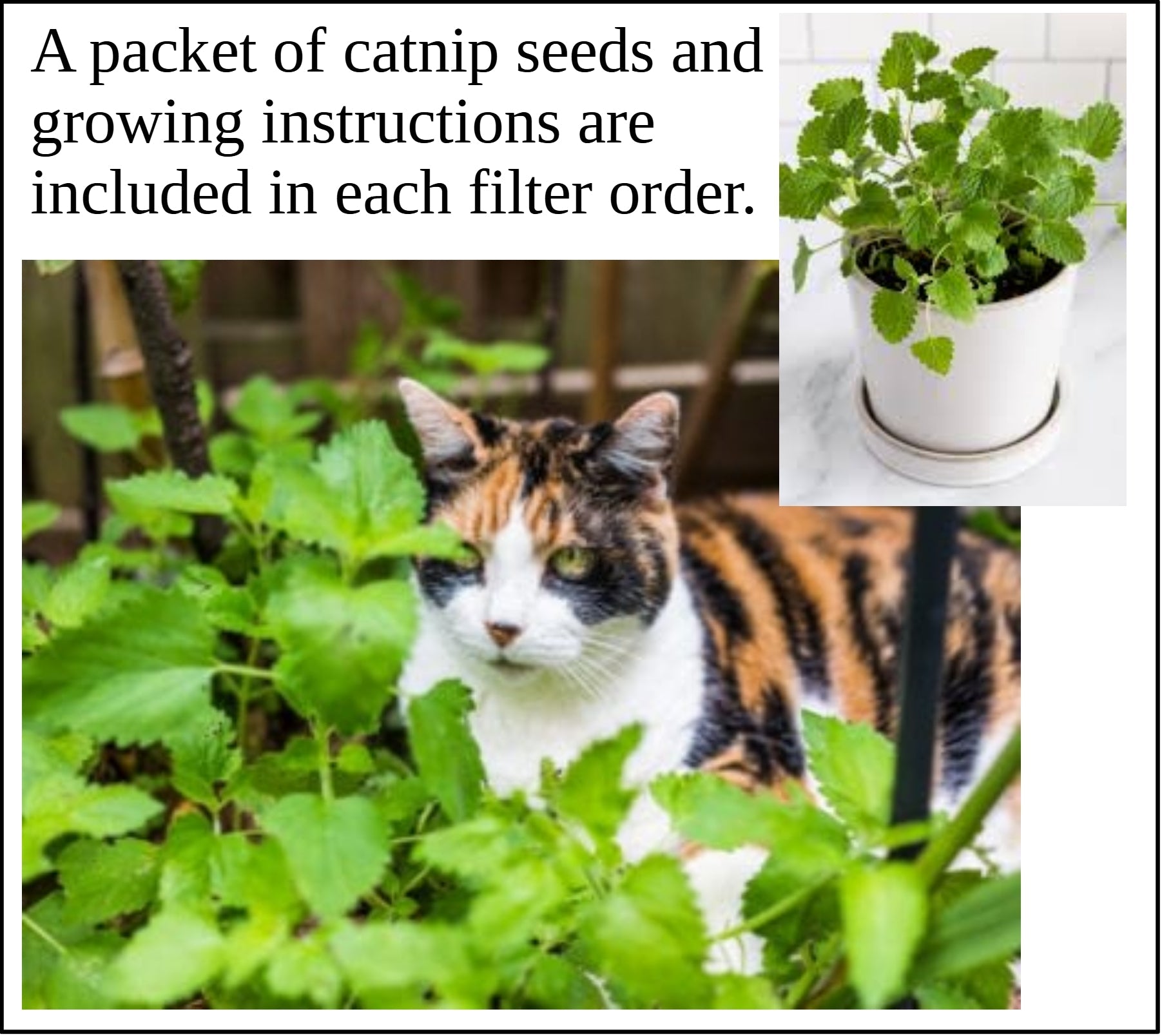 Litter Box Air Purifier