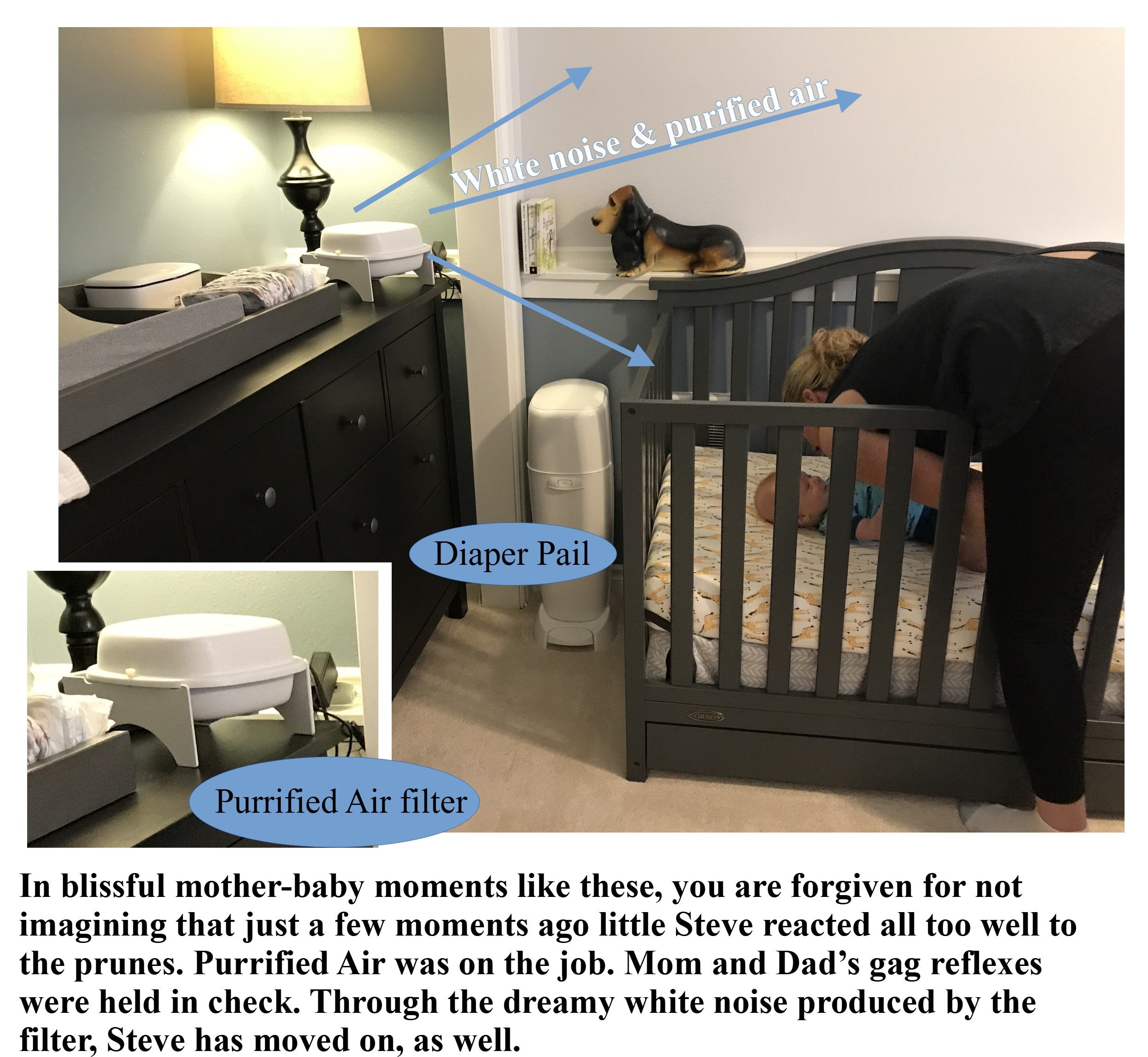 Litter Box Air Purifier