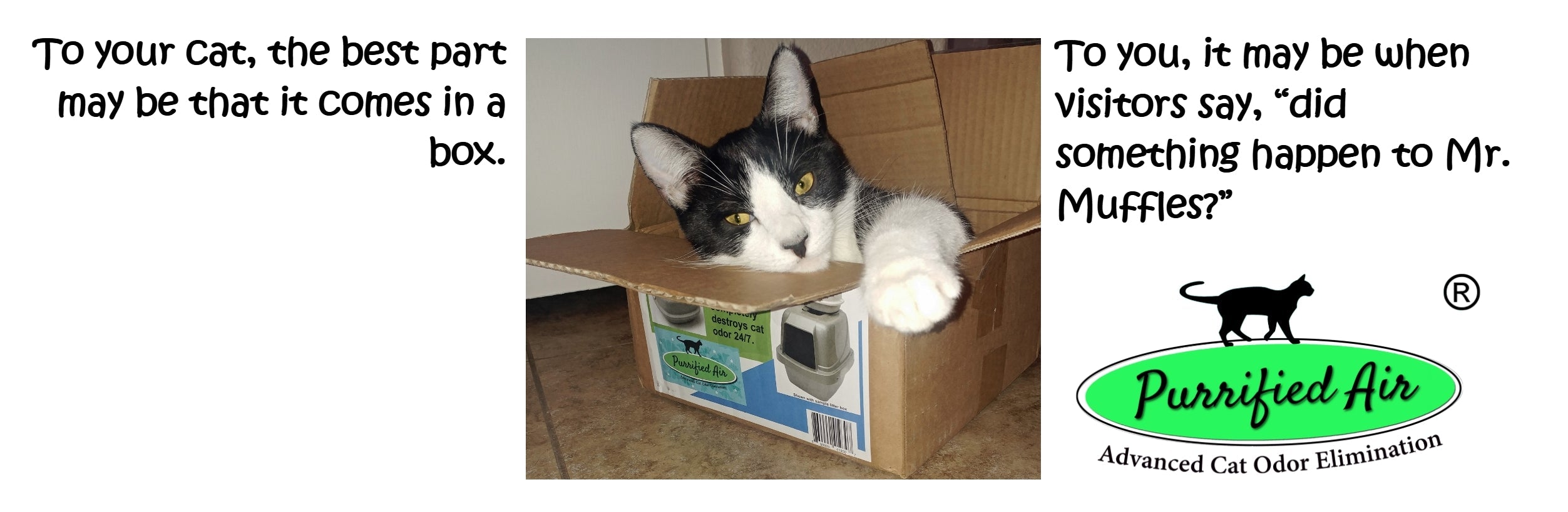 Litter Box Air Purifier